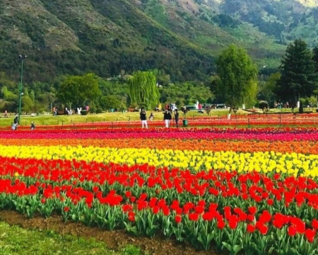 Budget Friendly Tour Package