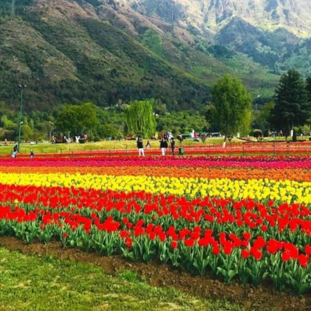 Budget Friendly Tour Package