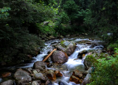 KASHMIR SUMMER PACKAGE