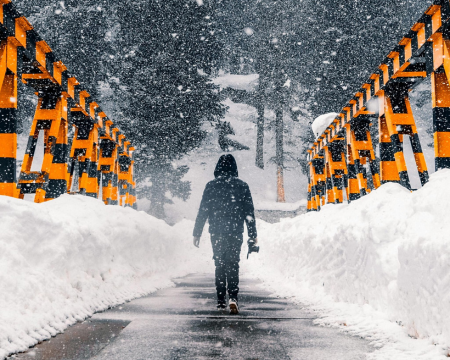 Kashmir Family Delight ( 5 Days / 4 Nights )