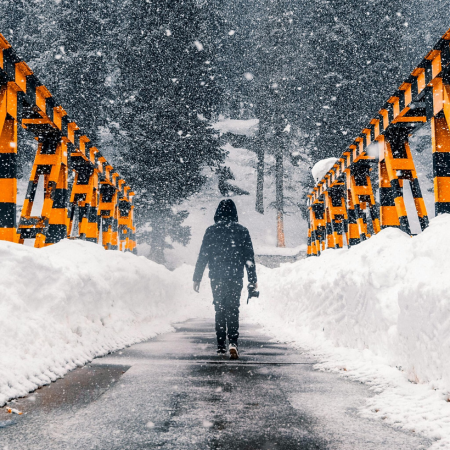 Kashmir Family Delight ( 5 Days / 4 Nights )