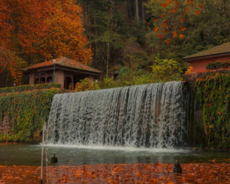 6 Nights & 7 Days Srinagar Package