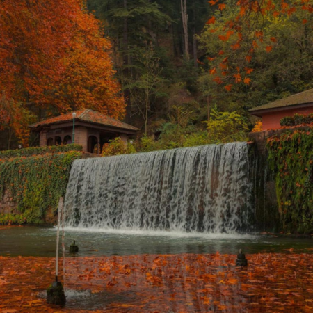 6 Nights & 7 Days Srinagar Package