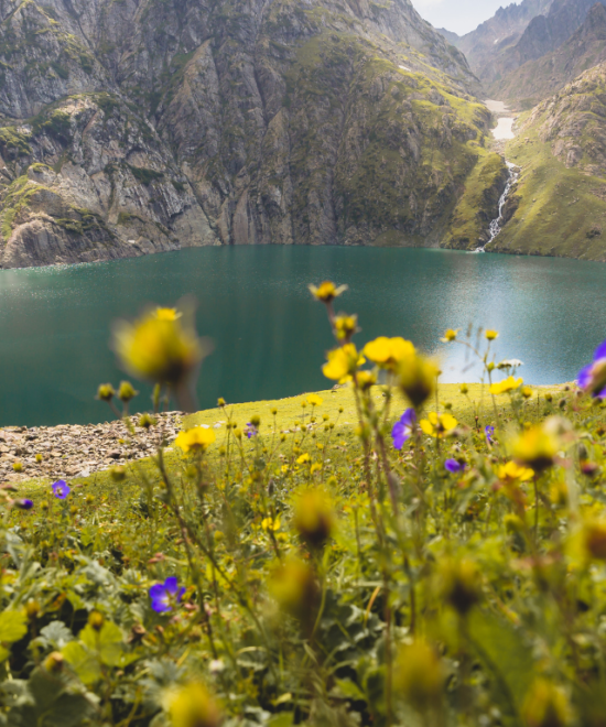 ❄️ Experience the Magic of Kashmir This Season! 🌸🏔️